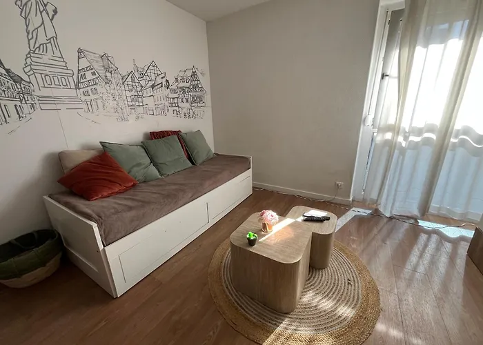 En Plein Centre De Avec Parking Colmar